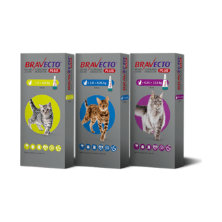 Bravecto for Cats