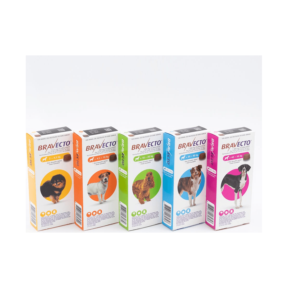 Bravecto for dogs