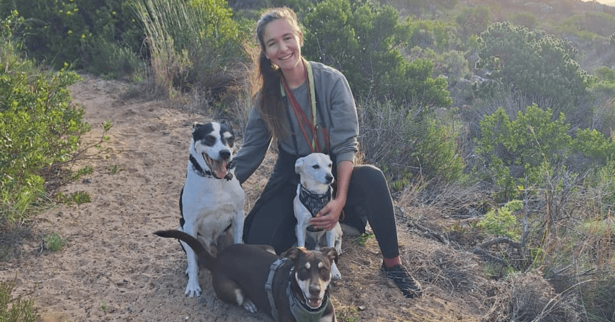 Maz on the trail with three dogs